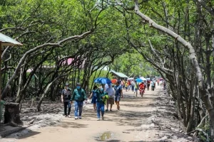 Thuê xe 7 chỗ Bình Chiểu giá rẻ đi tỉnh, xe đẹp, tài xế kinh nghiệm, đón tận nơi Thủ Đức.